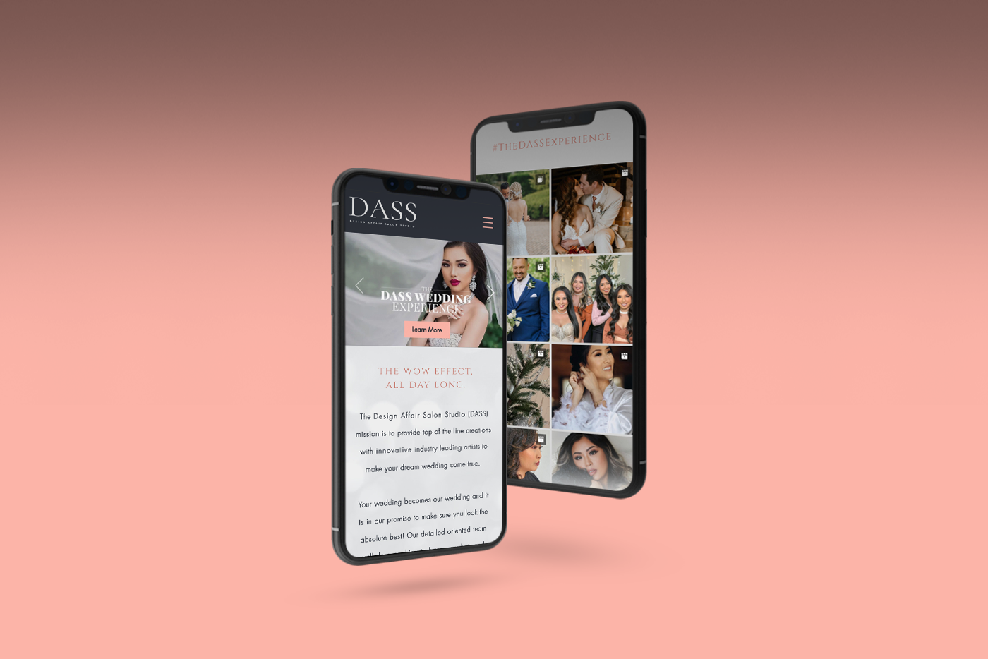 Smartphone mockup of the DASS website