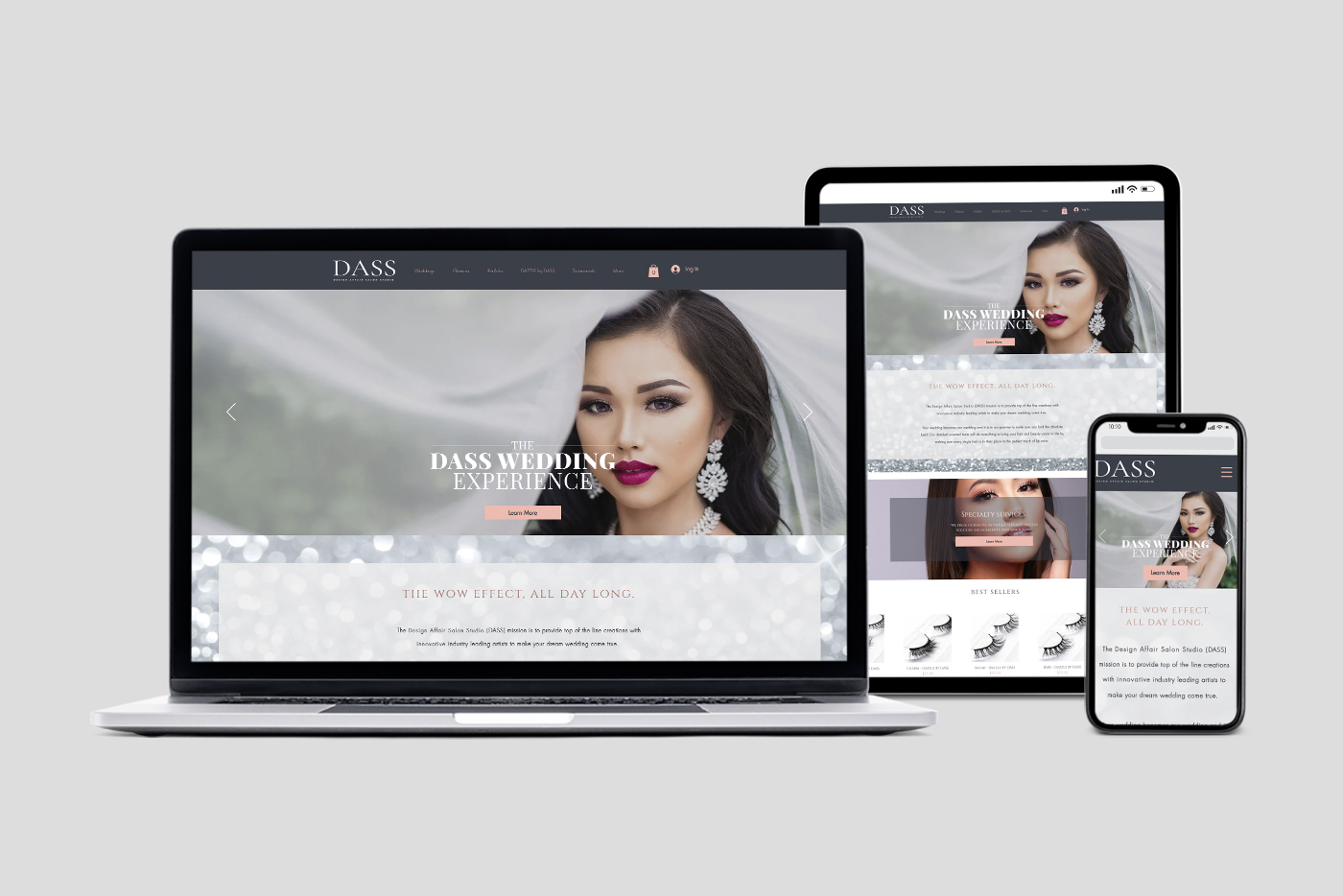 Device mockup of DASS website